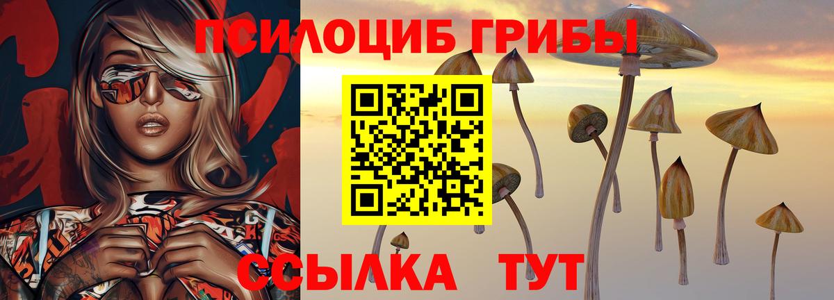 Галлюциногенные грибы мицелий  Вход с VPN  купить  цена  Курчатов  Галлюциногенные грибы ЛСД 